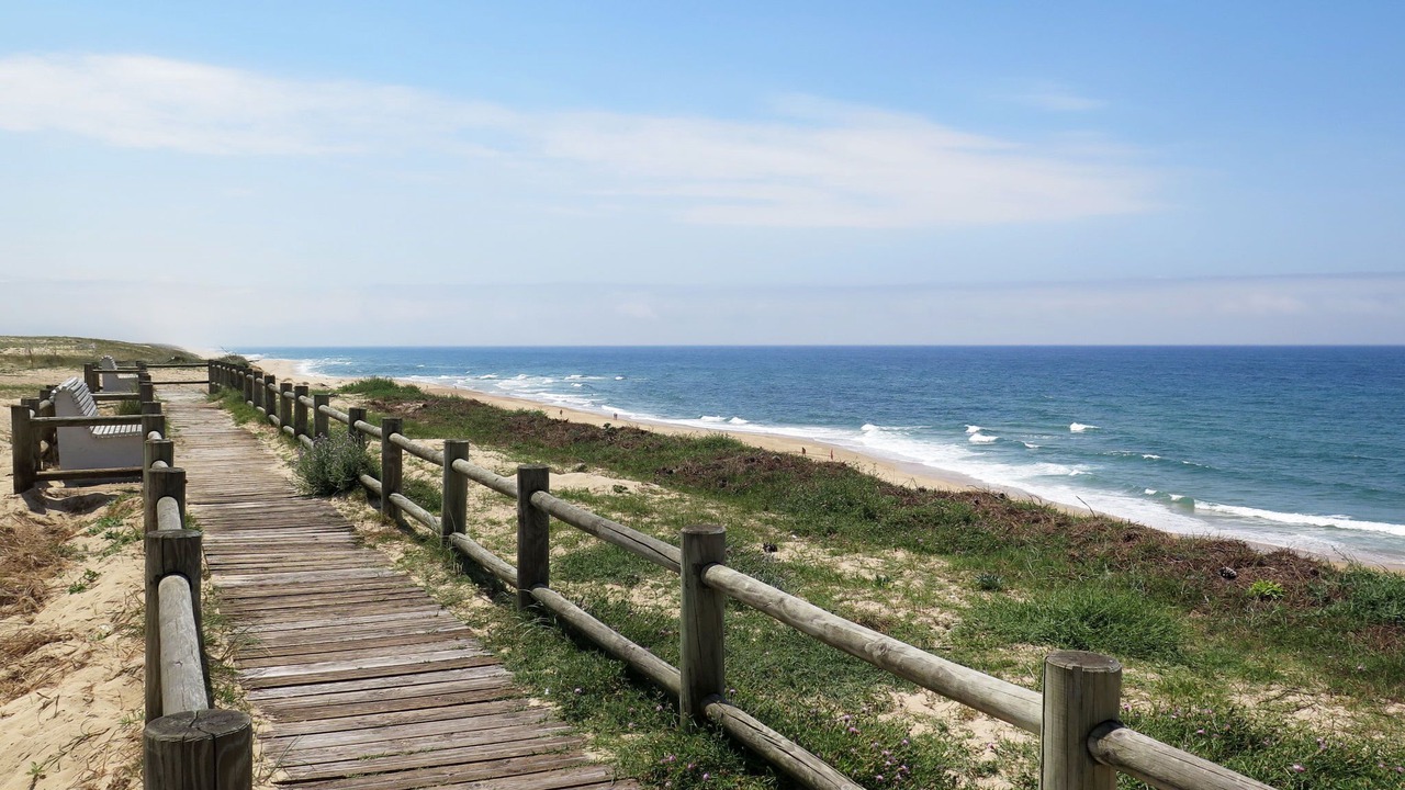 Photo of Others in Lit-et-Mixe