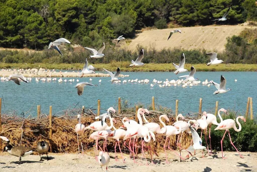 Photo of Others in Sigean