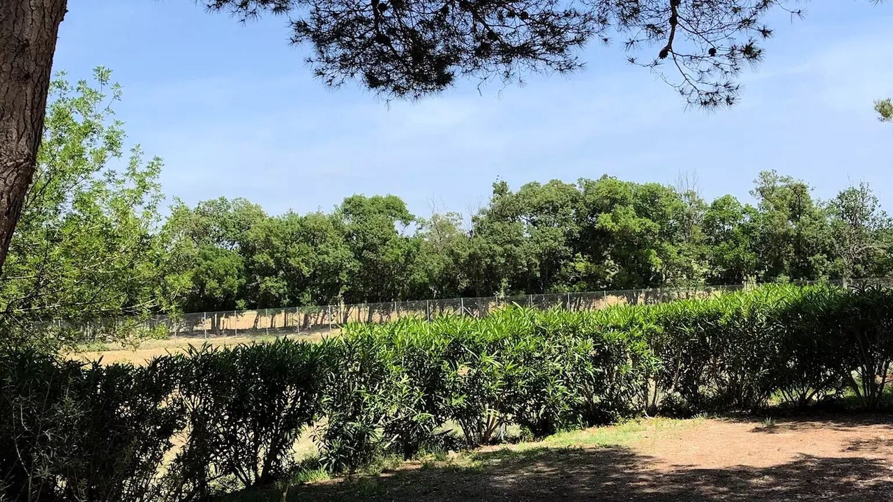 Photo of Outdoor in Sigean