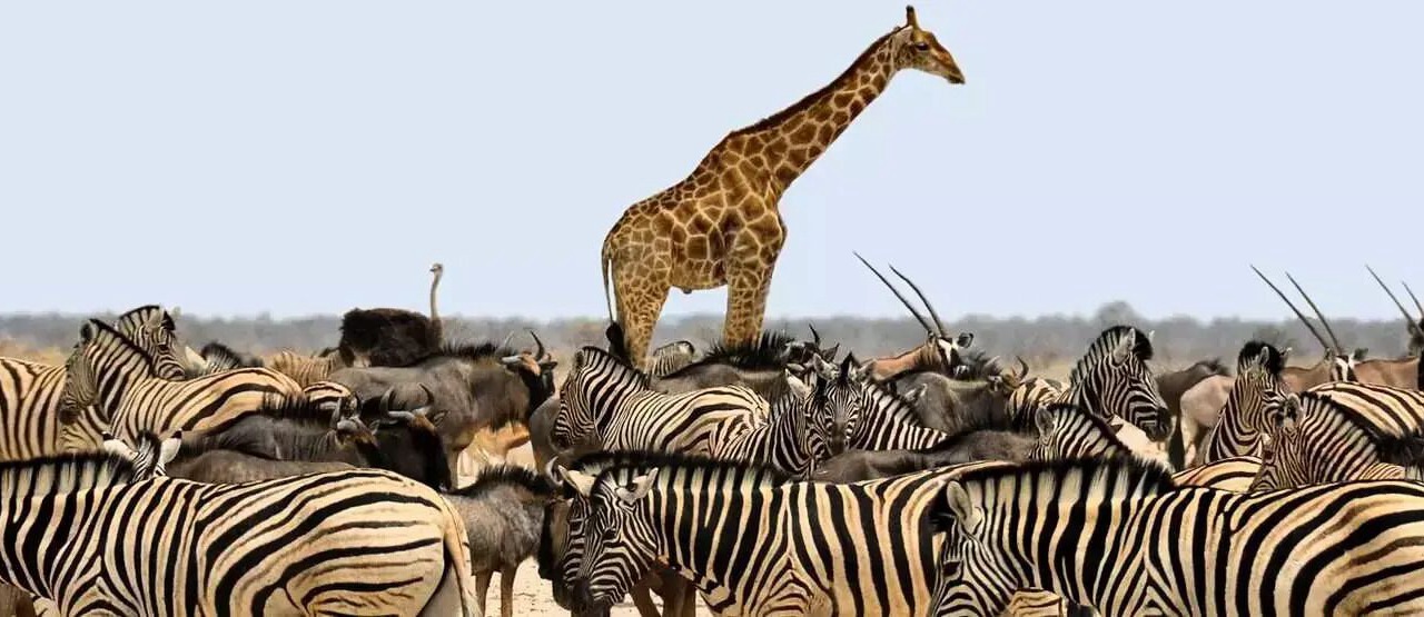 Photo of Others in Sigean