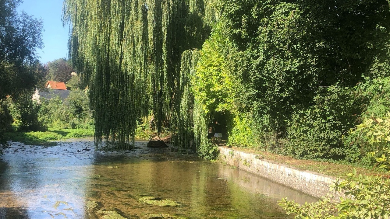 Photo of Others in Veules-les-Roses