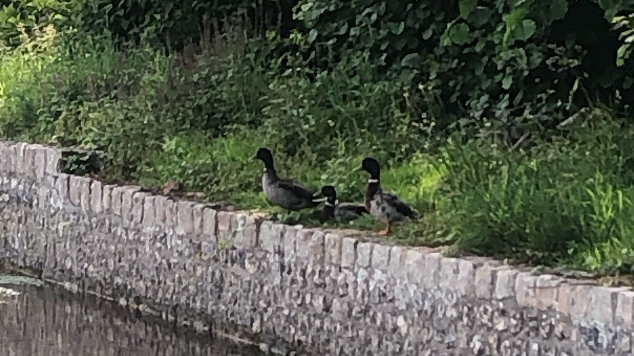 Photo of Others in Veules-les-Roses