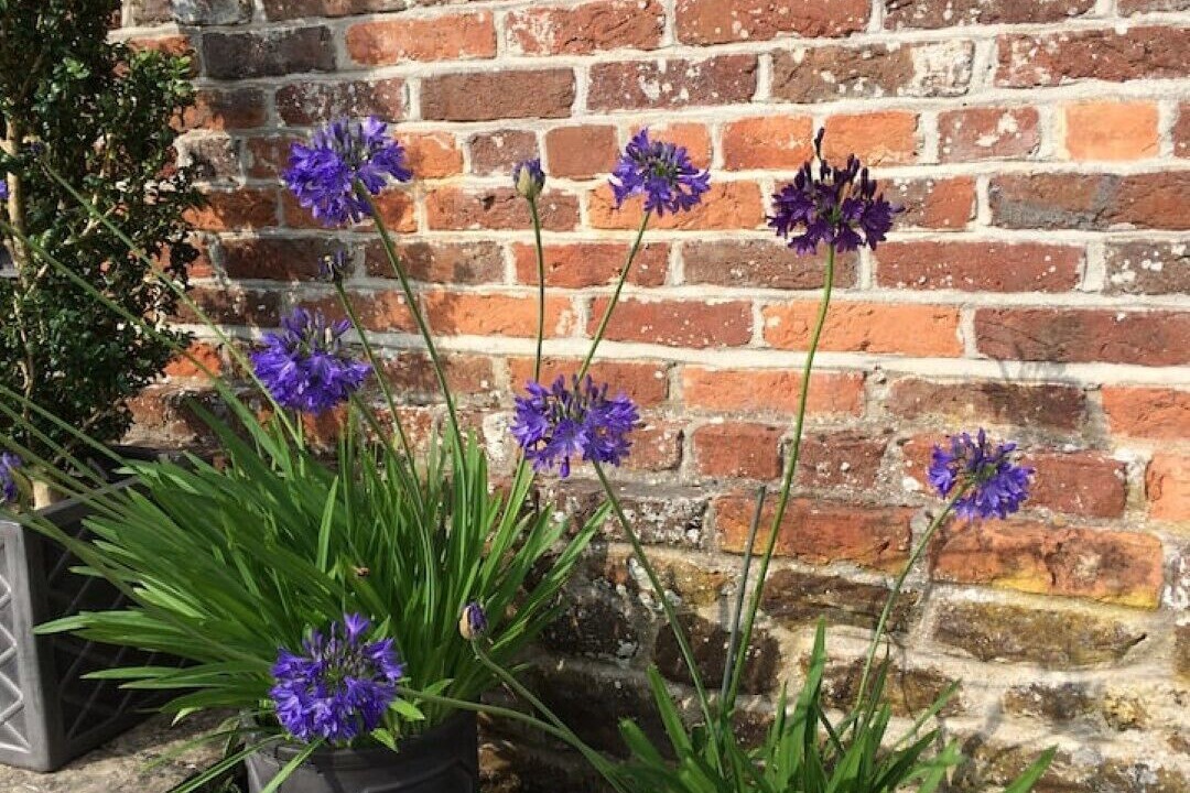 Photo of Outdoor in Holworth