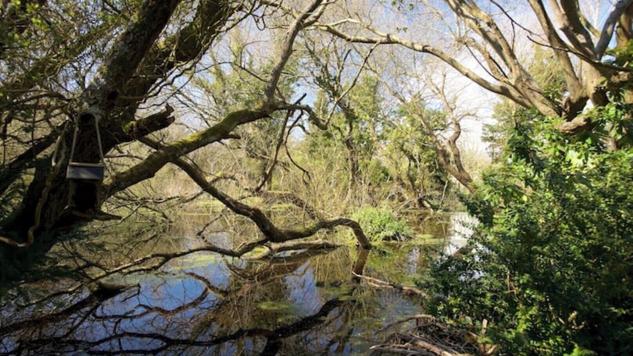 Photo of Outdoor in Holworth