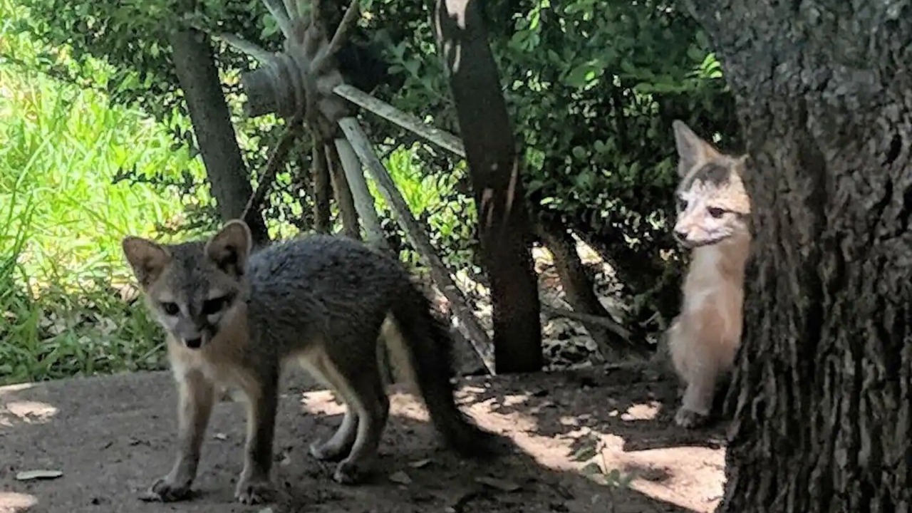 Photo of Others in Austin
