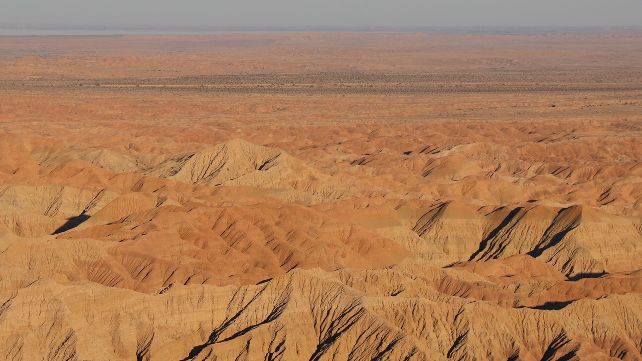 Photo of Others in Borrego Springs