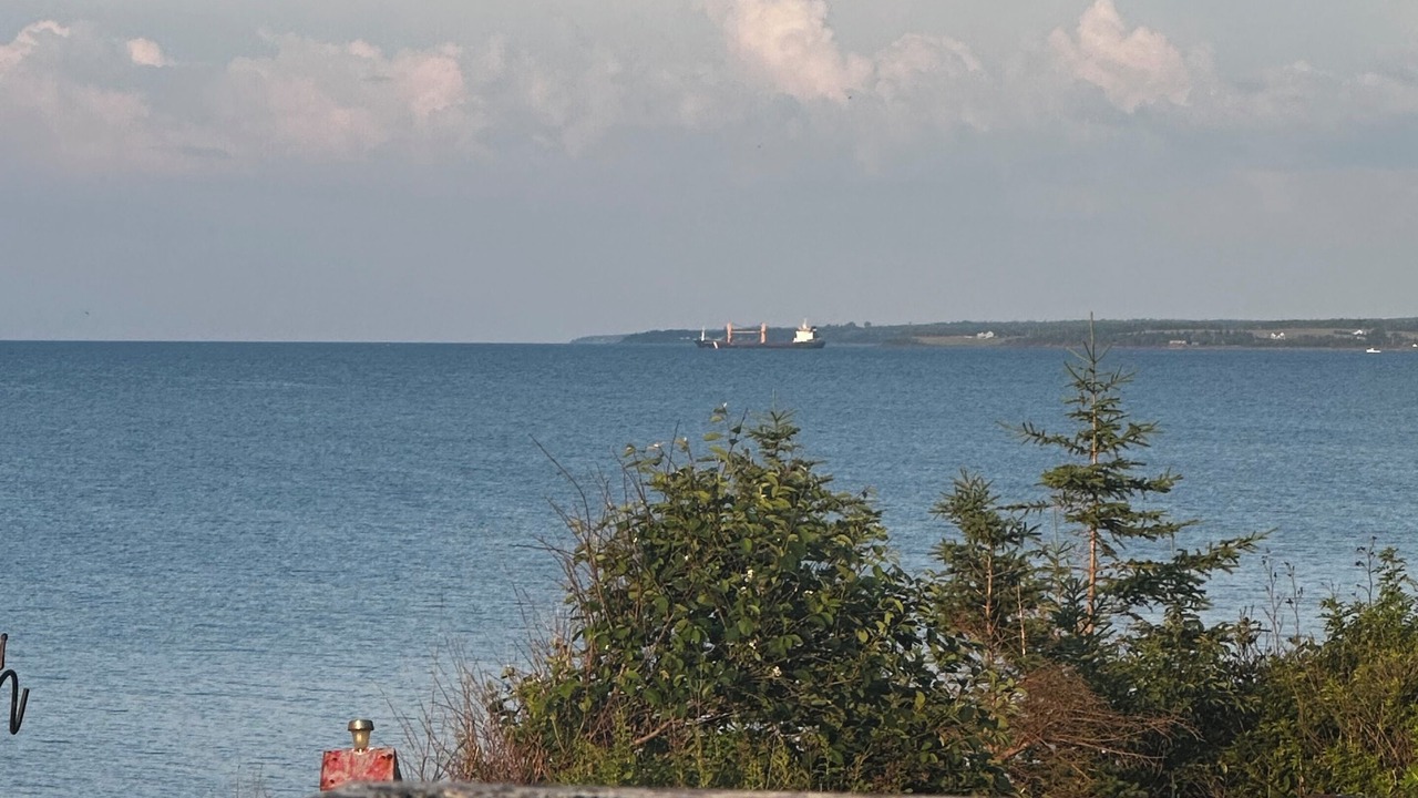 Photo of Others in Port Howe