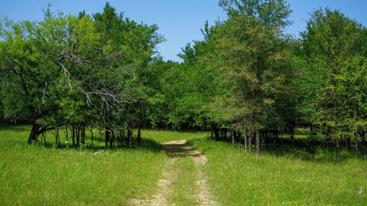 Photo of Others in Jacksboro