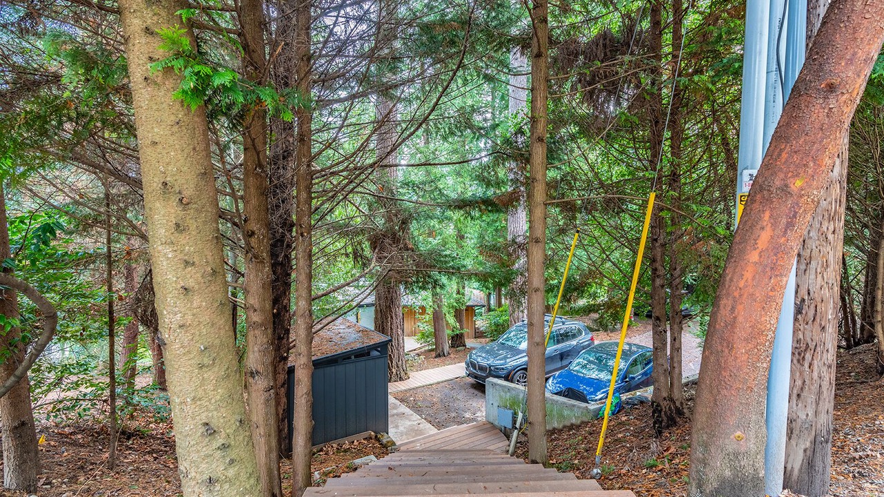 Photo of Outdoor in West Bellevue