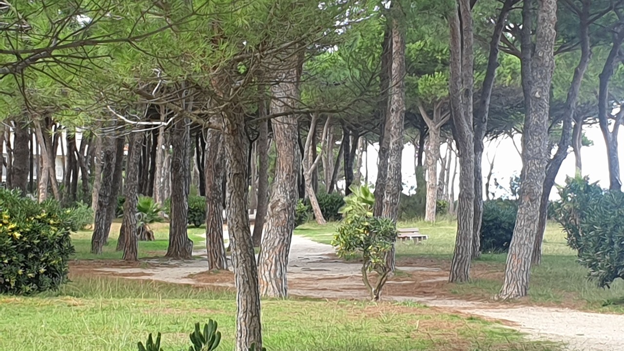 Photo of Outdoor in Plage d'Argeles