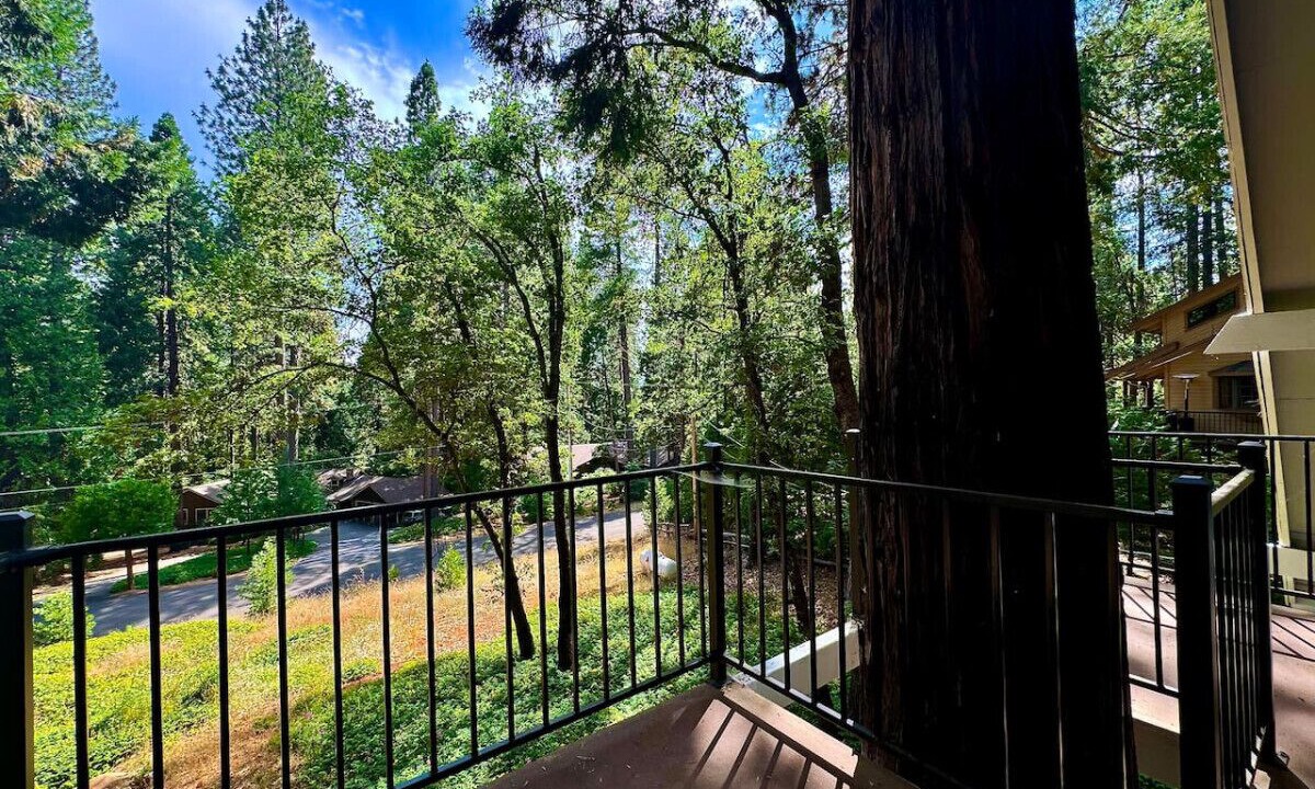 Photo of Outdoor in Pollock Pines
