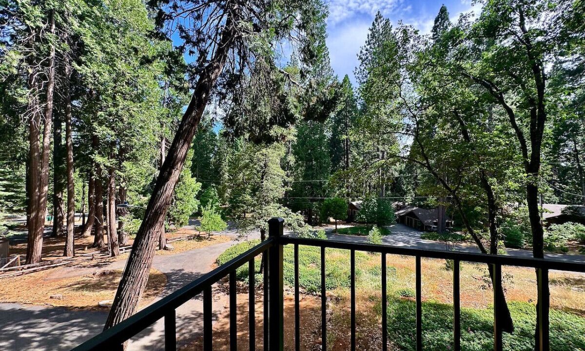 Photo of Outdoor in Pollock Pines