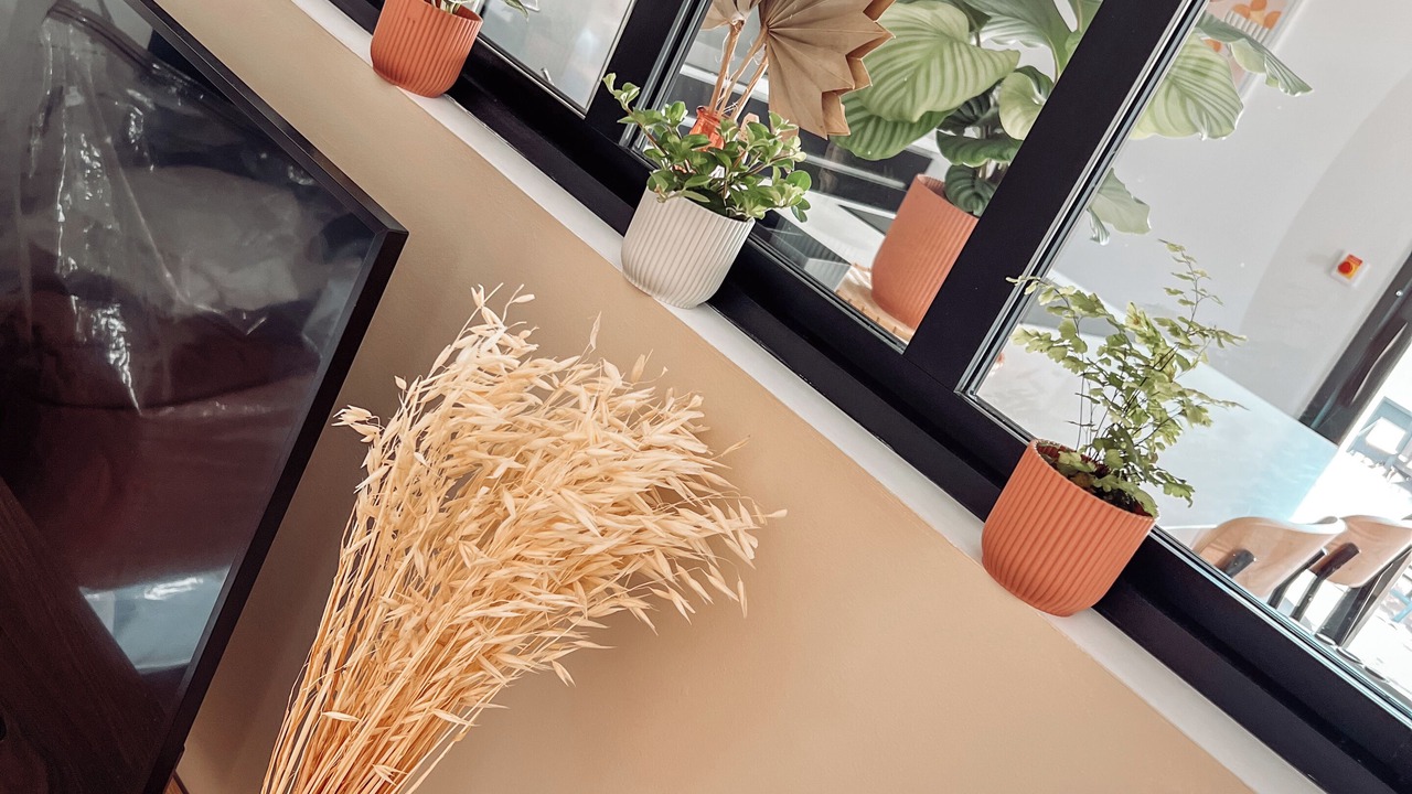 Photo of Others in Bergerac