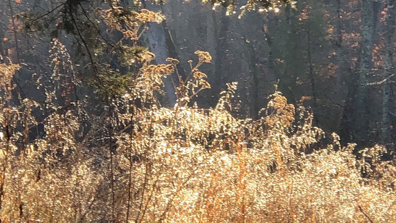 Photo of Outdoor in Eudora