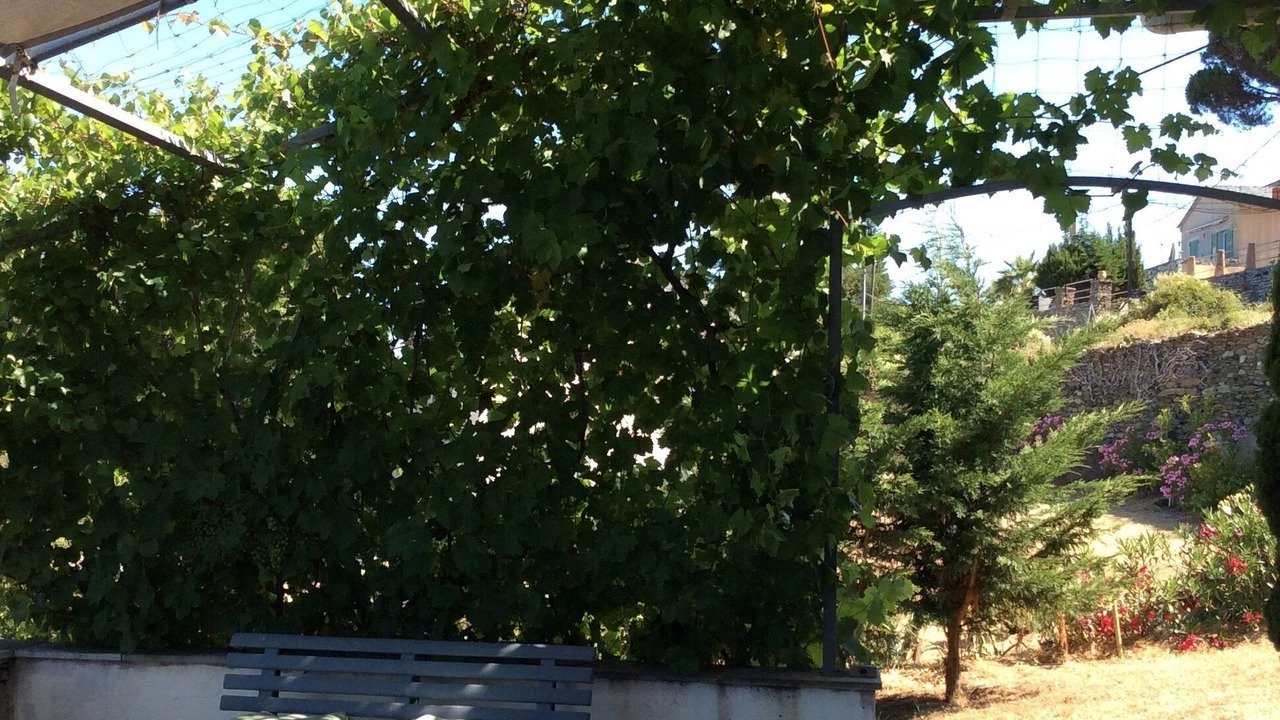 Photo of Outdoor in Canari