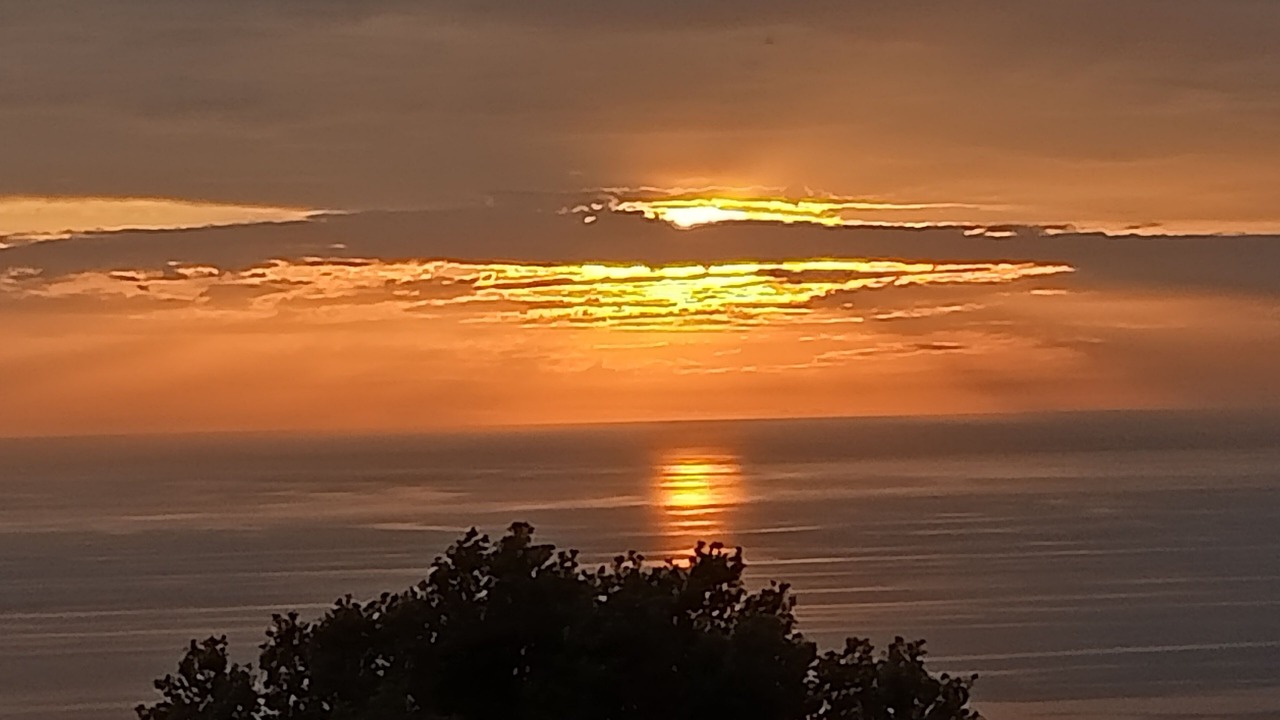 Photo of Others in Canari