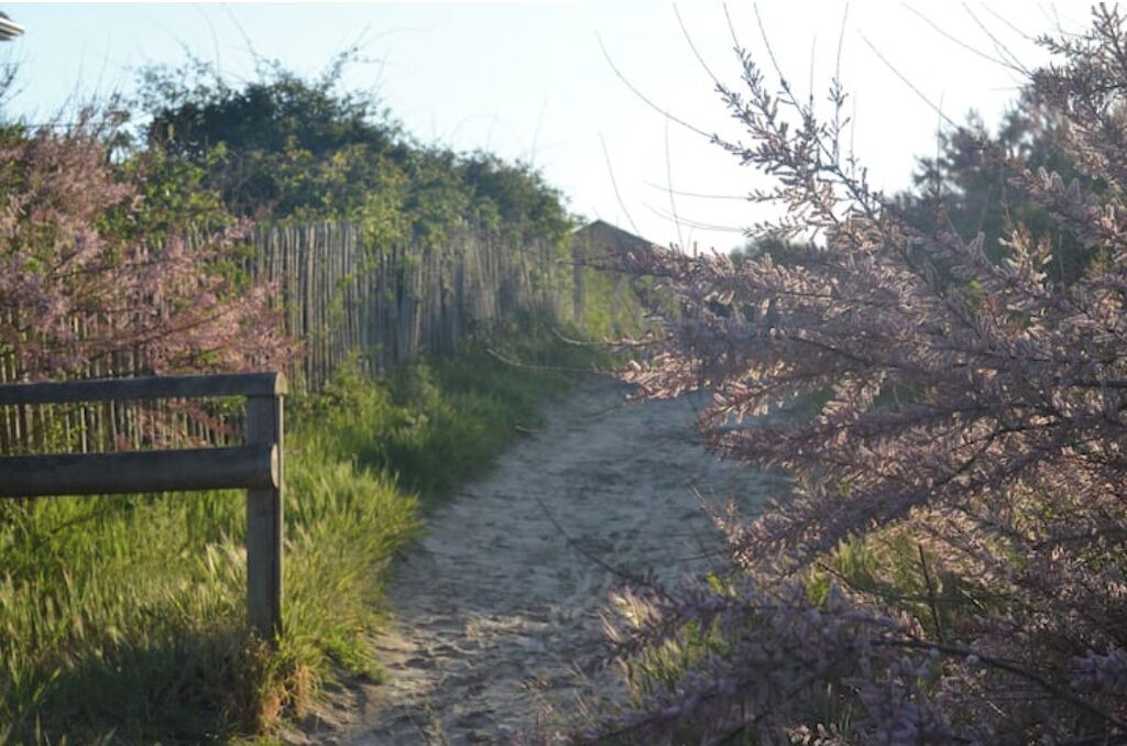 Photo of Others in Quend-Plage-les-Pins
