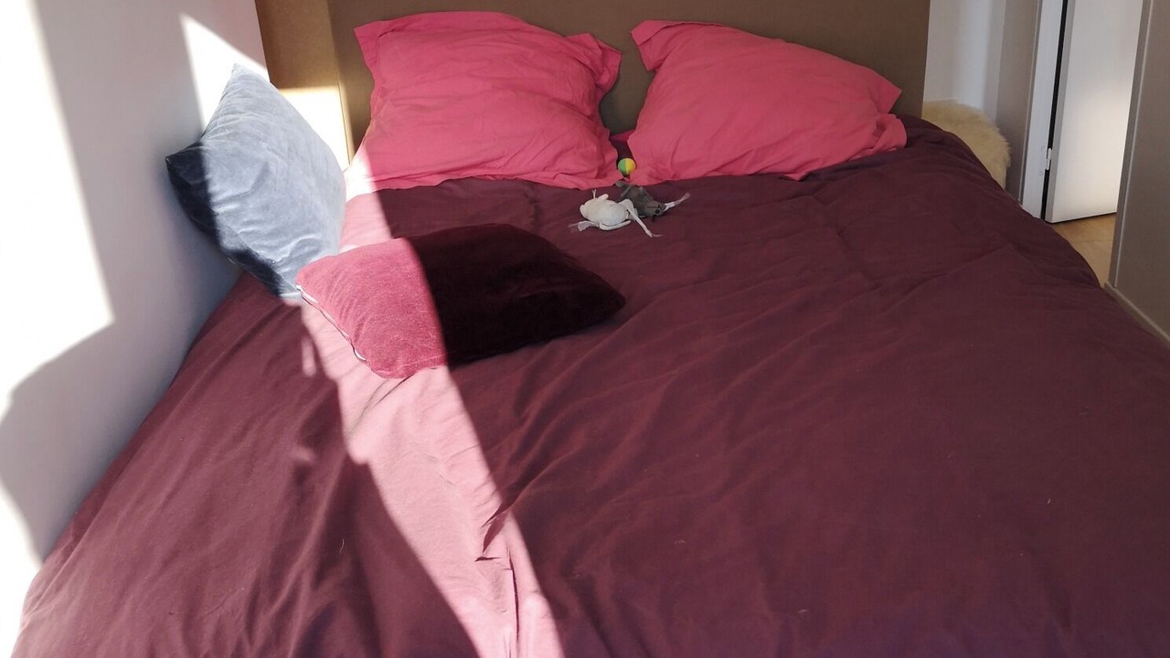 Photo of Bedroom in Montrouge