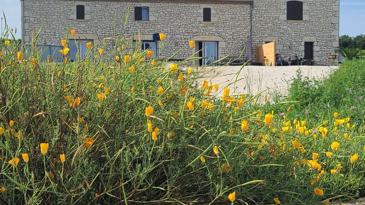 Photo of Outdoor in Saint-Jean-de-Duras
