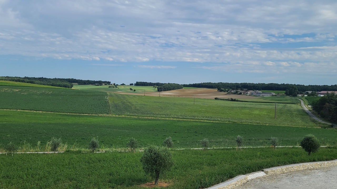 Photo of Others in Saint-Jean-de-Duras