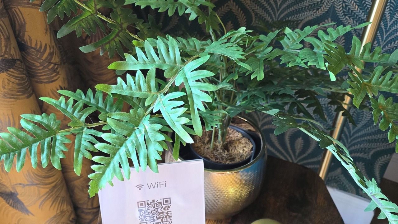 Photo of Others in Mendham