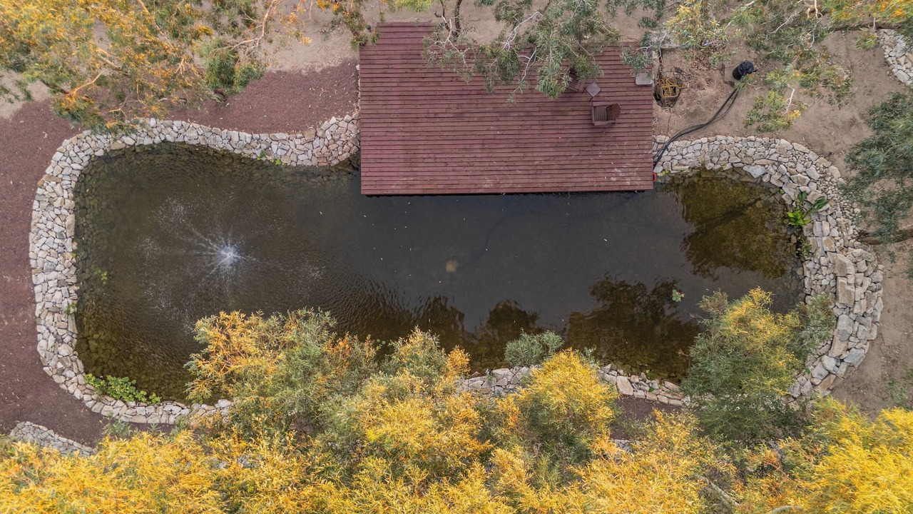 Photo of Others in Tanque Verde