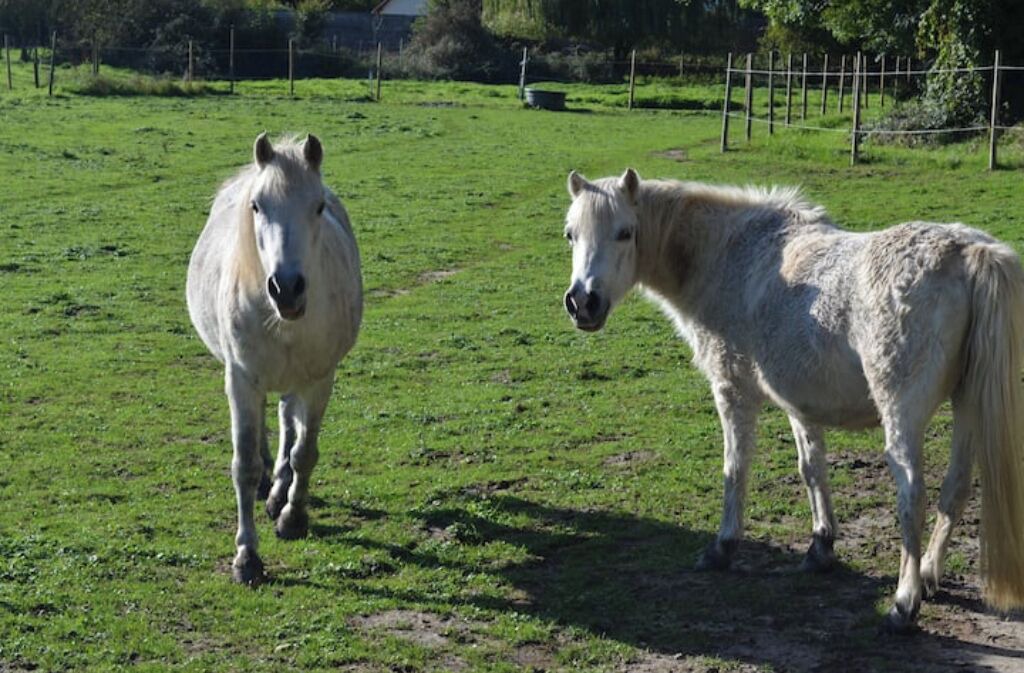 Photo of Others in Forest-Montiers