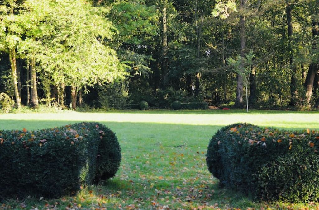 Photo of Outdoor in Forest-Montiers