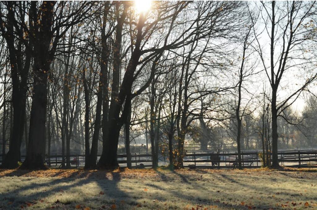 Photo of Others in Forest-Montiers
