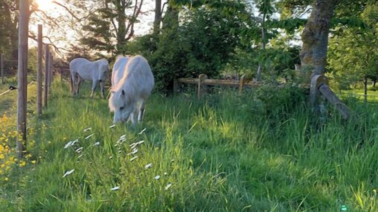 Photo of Others in Forest-Montiers