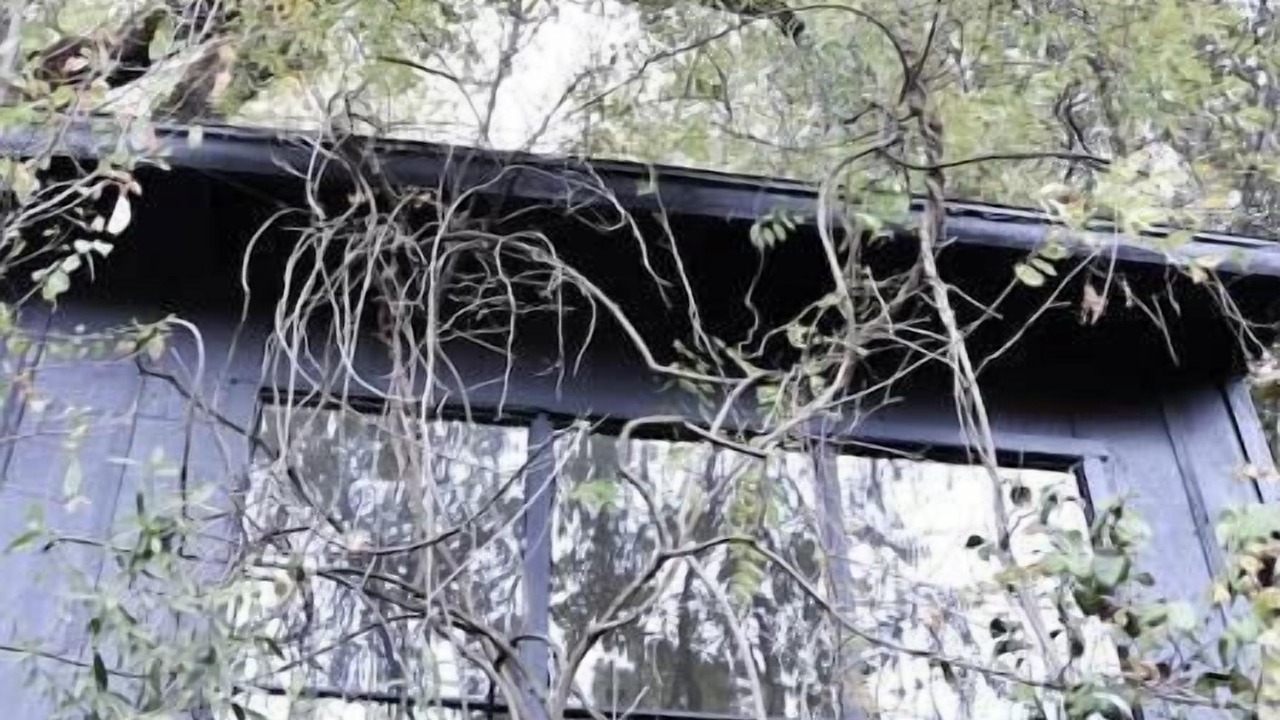 Photo of Bedroom in San Anselmo