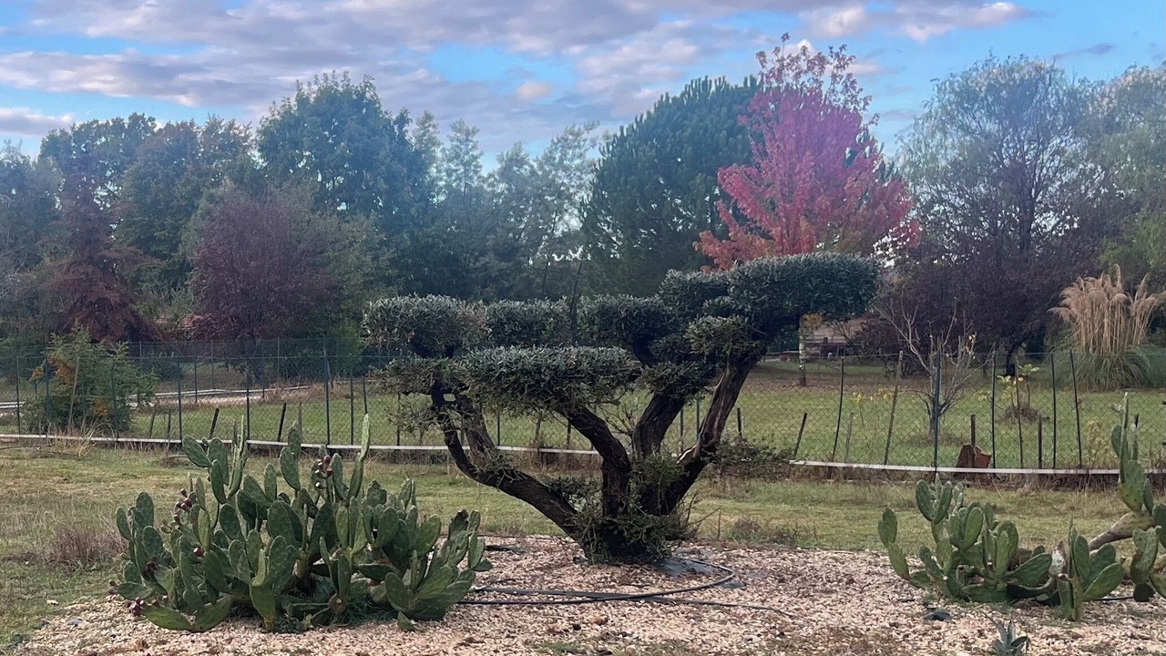 Photo of Outdoor in Labastide-du-Temple