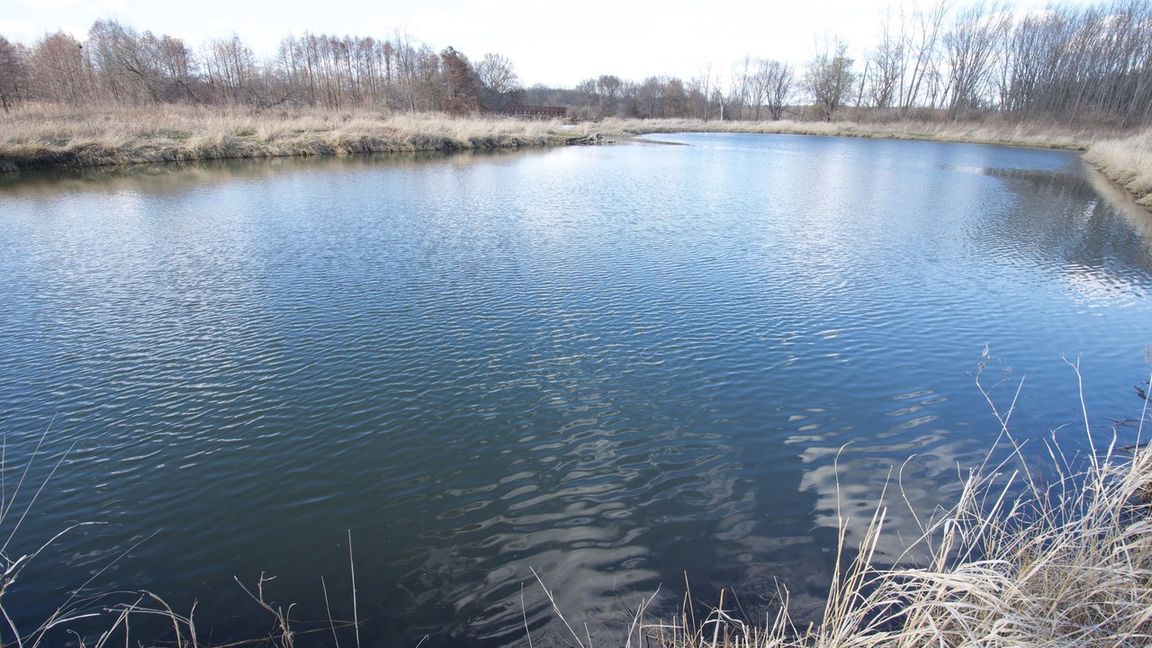 Photo of Others in Bolingbrook