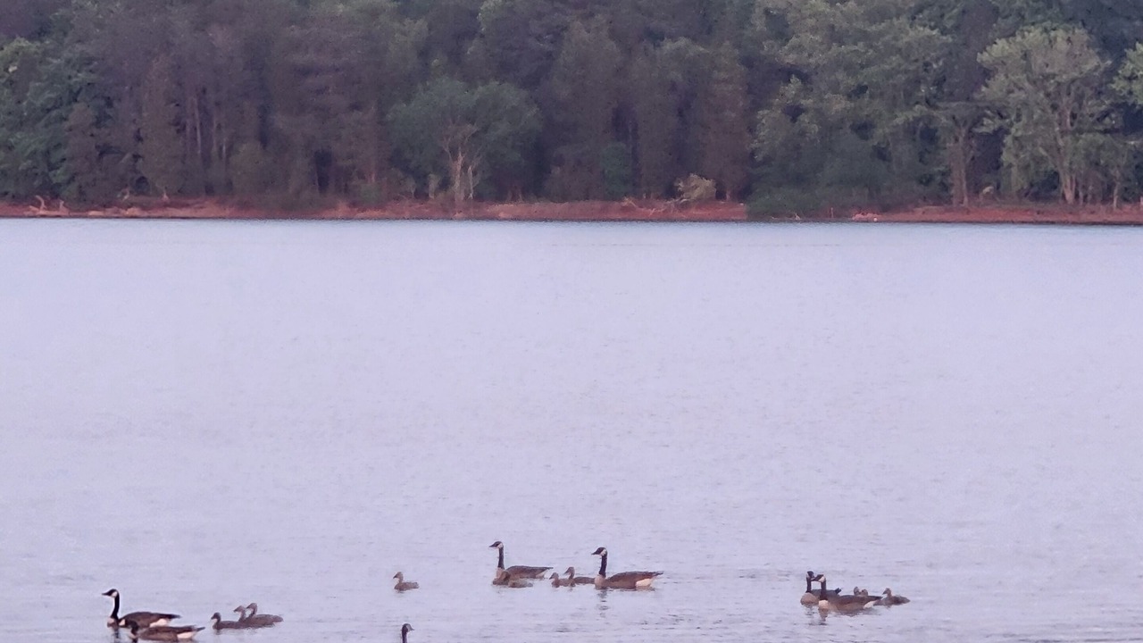 Photo of Outdoor in Mooresburg