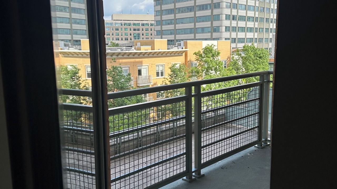 Photo of Others in Shirlington
