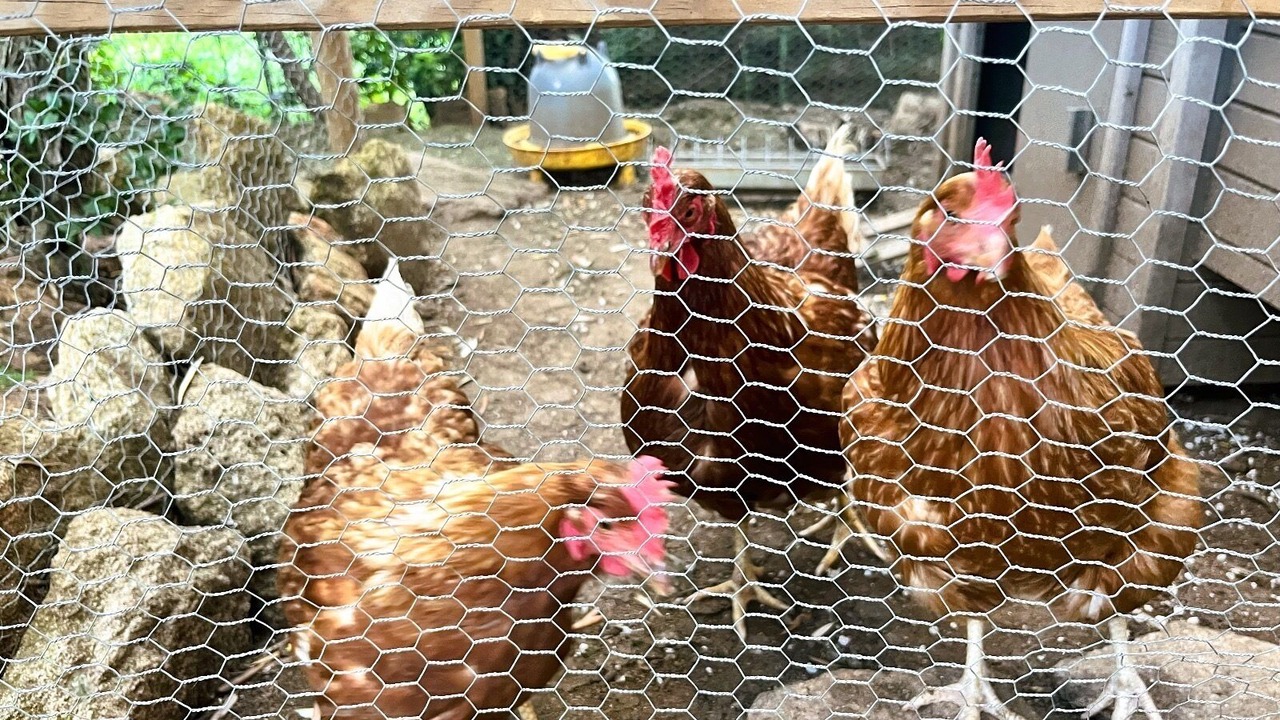 Photo of Others in Boisseron