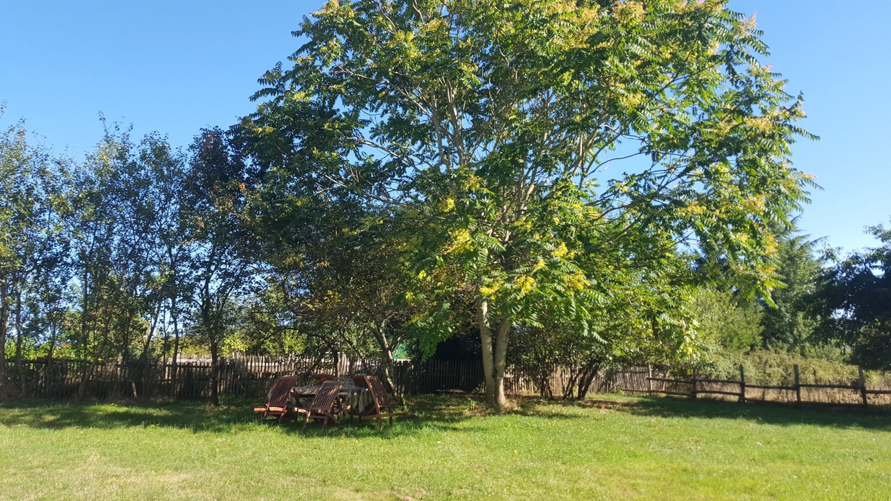 Photo of Outdoor in Saint-Sulpice-de-Ruffec