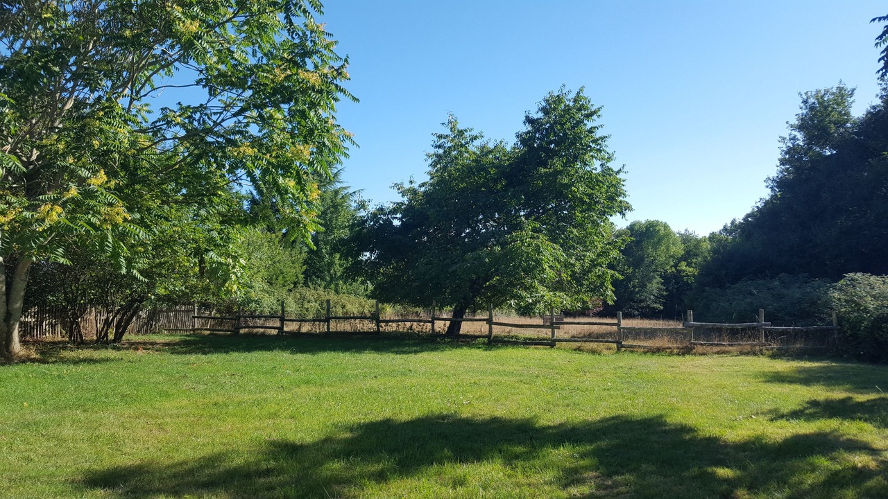 Photo of Outdoor in Saint-Sulpice-de-Ruffec