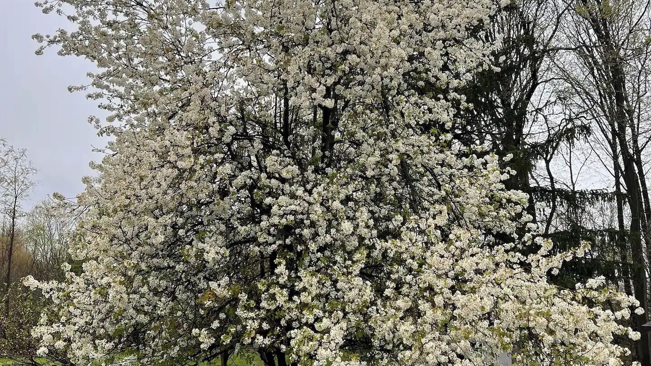 Photo of Outdoor in Canton
