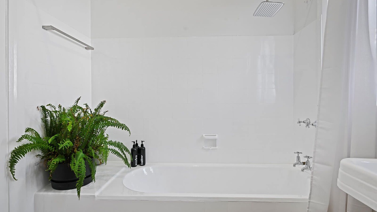 Photo of Others in Orange