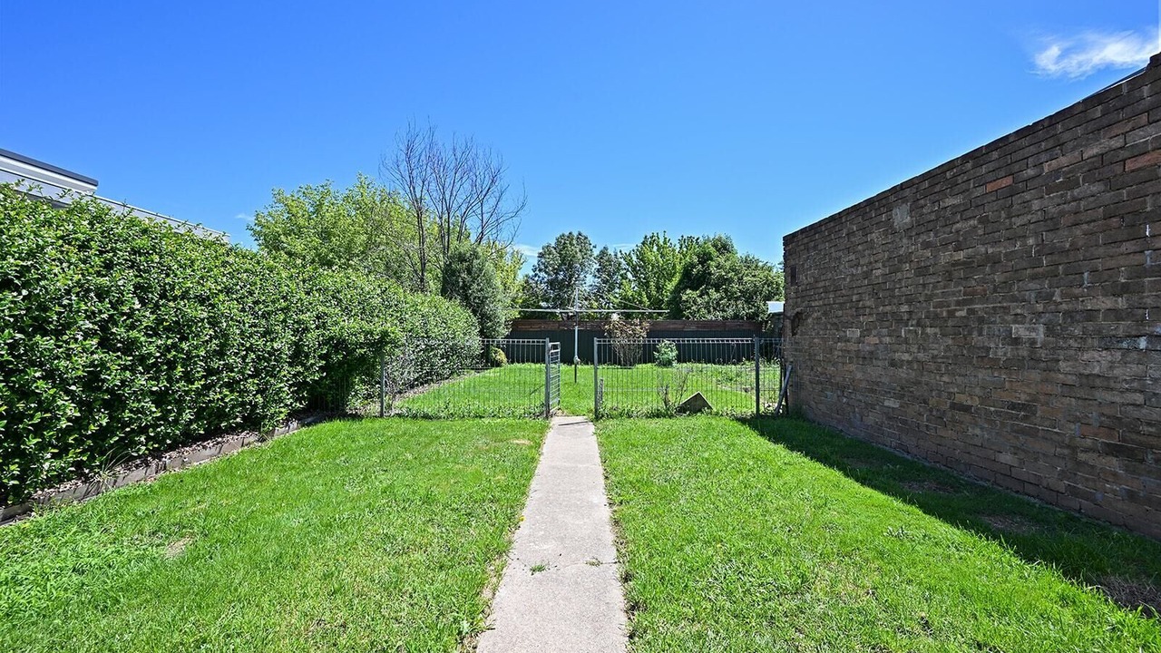 Photo of Others in Orange