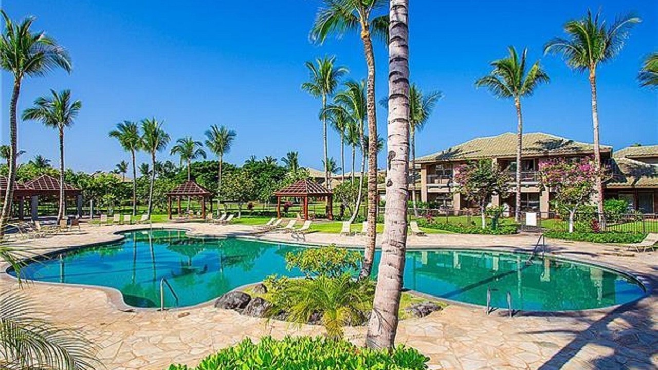 Photo of Outdoor in Kamuela