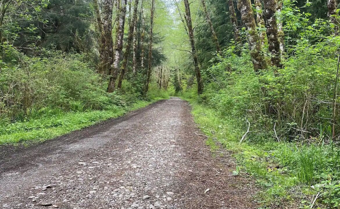 Photo of Outdoor in Forks