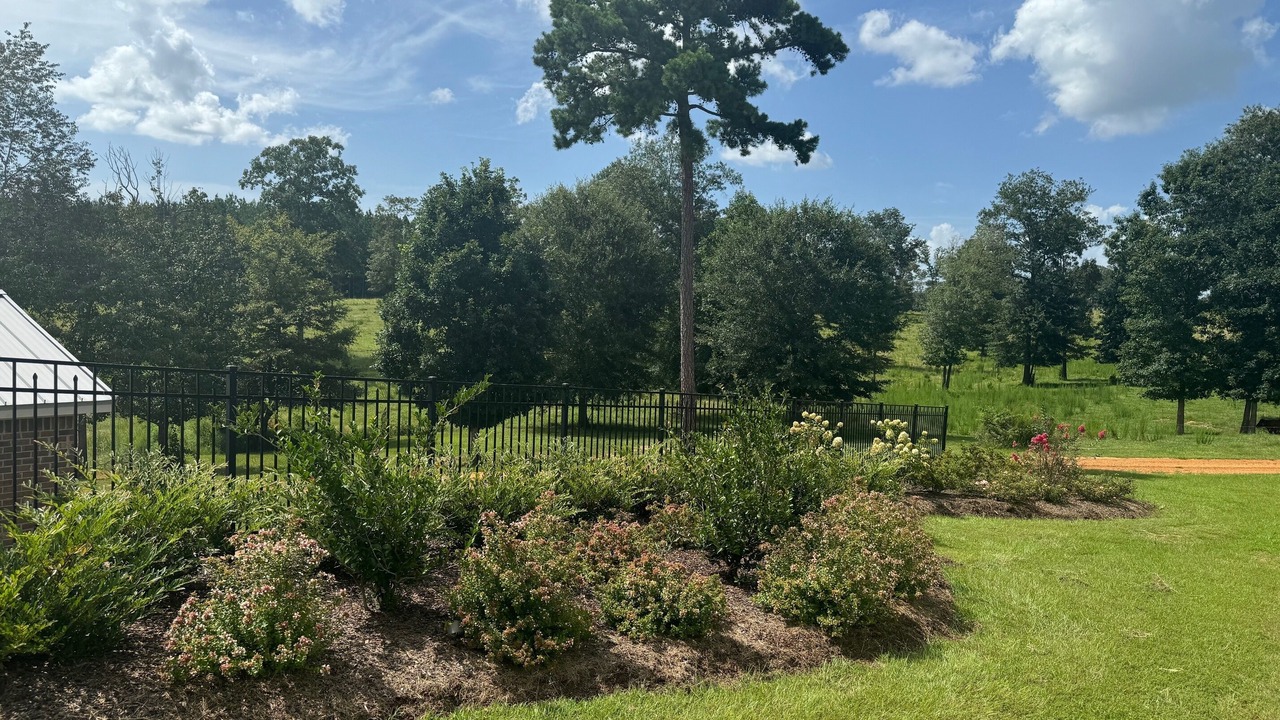 Photo of Outdoor in Ruth