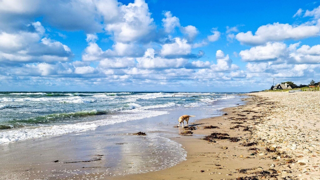 Photo of Others in Udsholt Sand