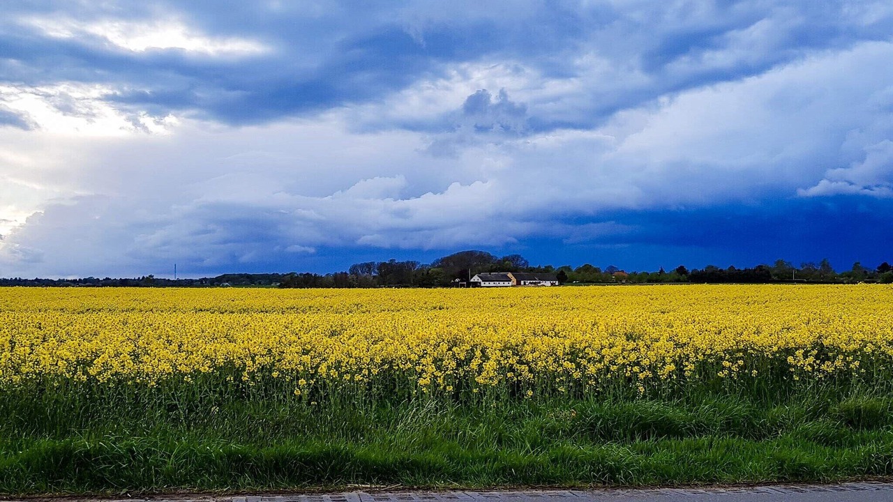 Photo of Outdoor in Udsholt Sand