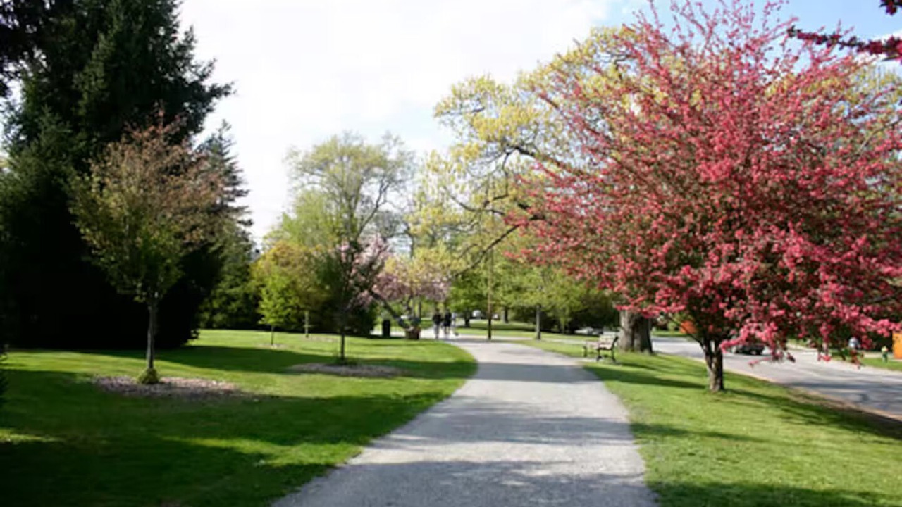 Photo of Others in Providence