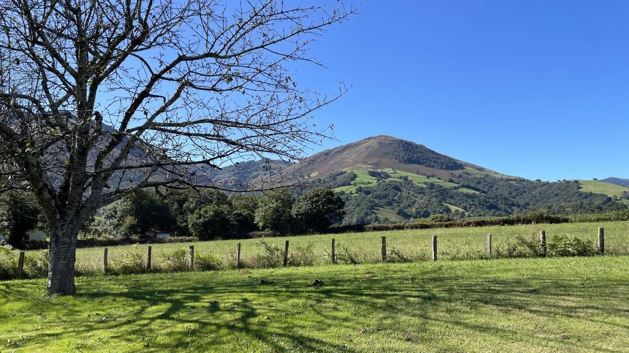 Photo of Others in Irouleguy