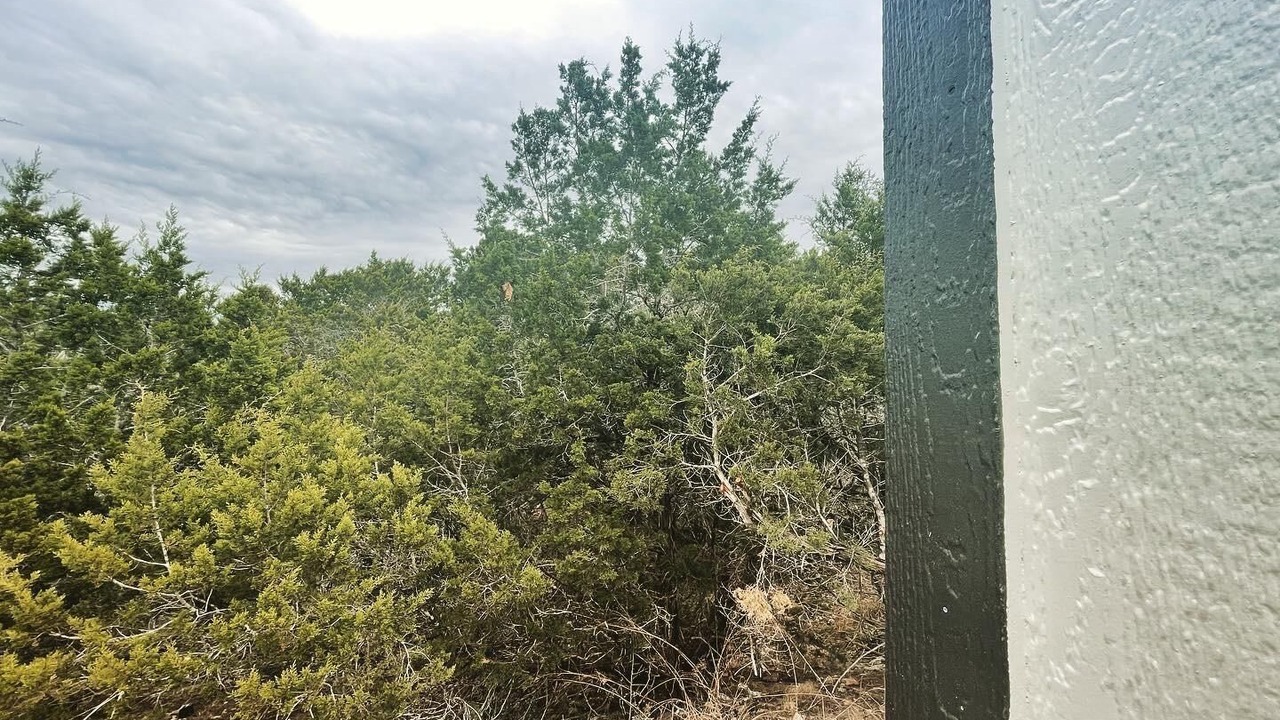 Photo of Others in Dripping Springs