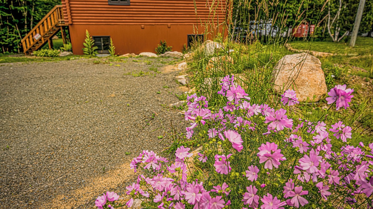 Photo of Outdoor in Notre-Dame-de-la-Merci
